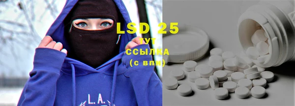 стафф Осинники