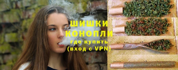 PSILOCYBIN Осташков