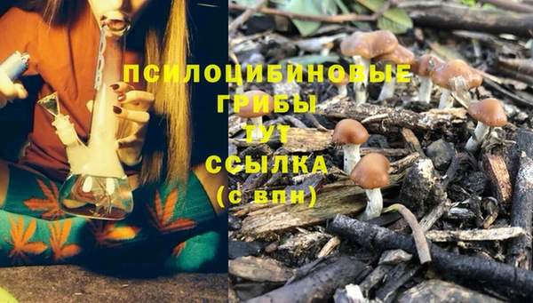 дживик Остров