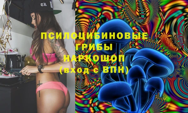 стафф Осинники