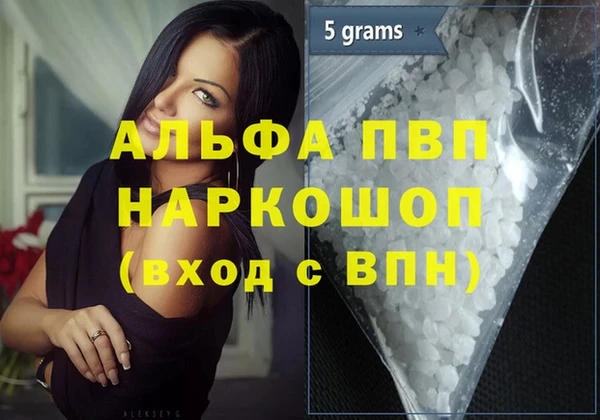 стафф Осинники