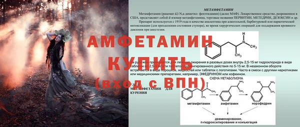 PSILOCYBIN Осташков