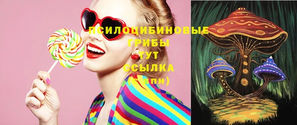 стафф Осинники