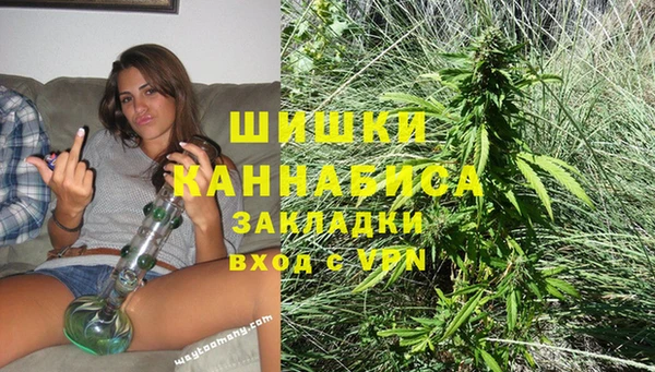 PSILOCYBIN Осташков
