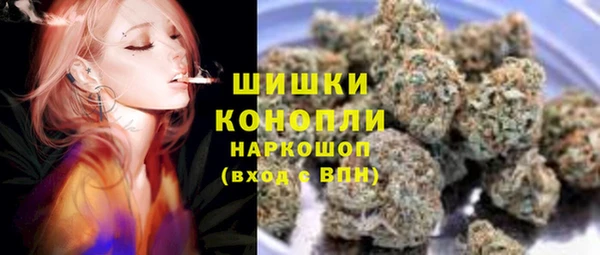 стафф Осинники